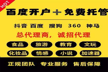 某知名品牌SEM广告投放的创意与执行