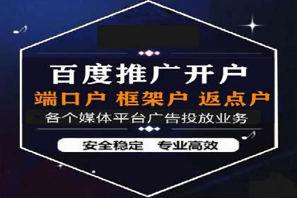 SEM广告投放策略案例分析